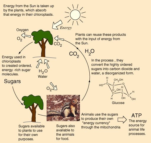solar energy and energy cycle