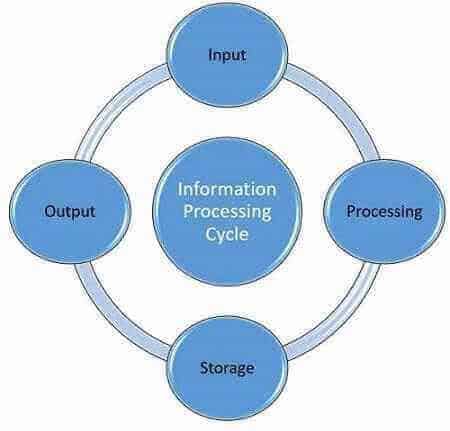 Information processing cycle