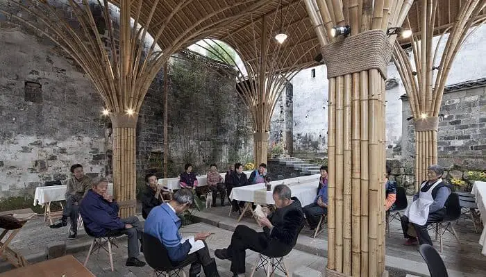 Building Sustainable CIties - Use of Bamboo