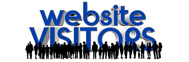 Website Visitors Image