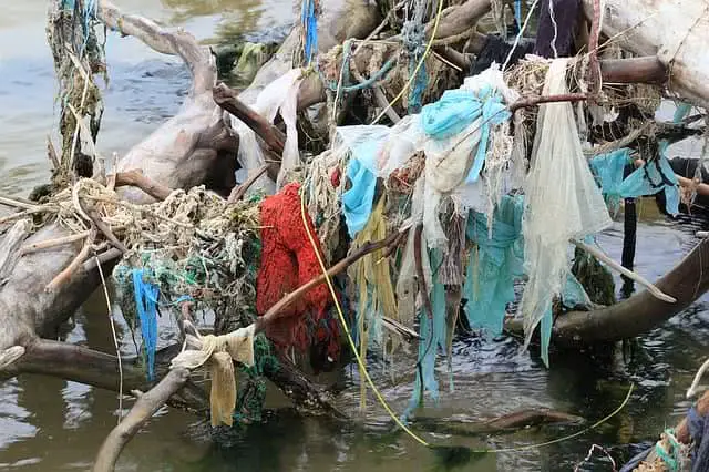Harmful Effects of Marine Pollution