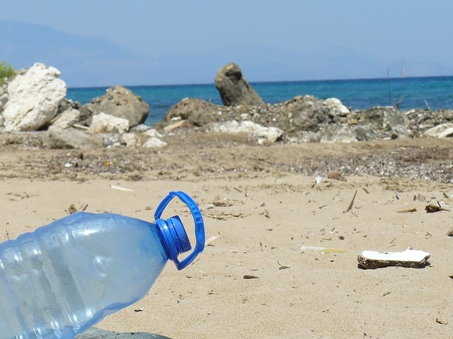 Marine Plastic Pollution Humans