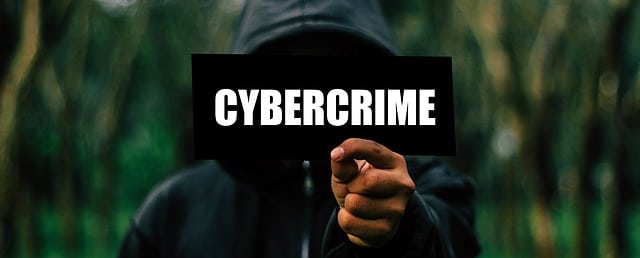Cyber Crime and Environmental Sustainability