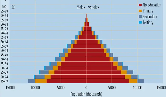 Population pyramid representing additional data