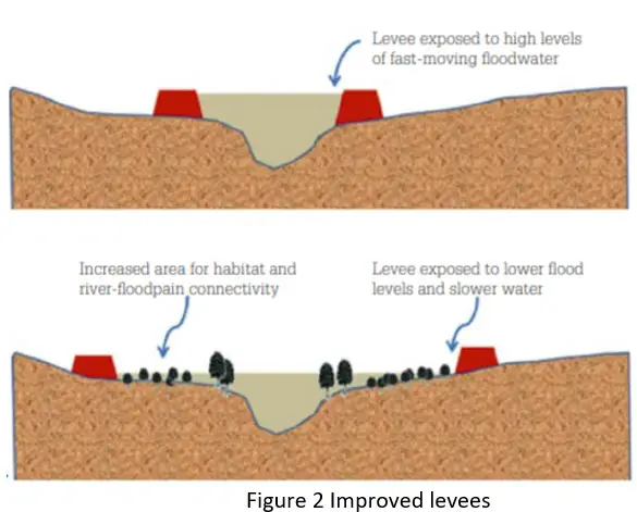 Improved levees