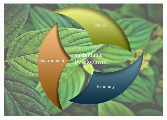 Sustainable Development Covid 19